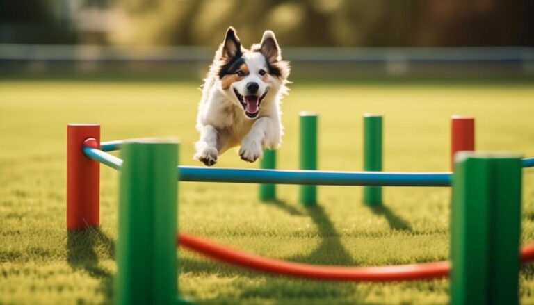 4 To 8 Dog Agility Jumps Makes Ideal Training