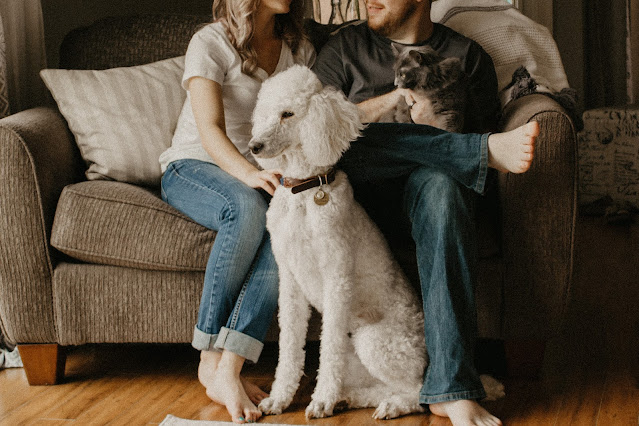 What Happens When Pets Come Between Partners Guidance