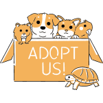 Adoption Icon